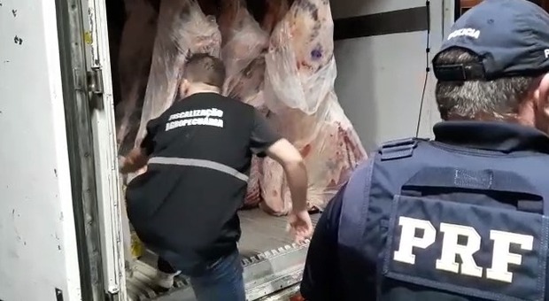 PRF apreende 1 ton de maconha em caminhão baú com carga de carne (PRF/Divulgação)