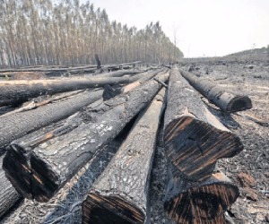 Em Aquidauana, alta temperatura de 38,5ºC colaborou com fogo em fazenda, na terça. - Álvaro Rezende