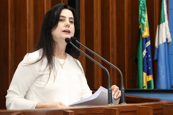 Projeto prevê que contagem de licença maternidade comece após alta hospitalar Deputada Mara Caseiro propõe a mudança no Estatuto dos Funcionários Públicos Civis do Poder Executivo. Foto: Victor Chileno