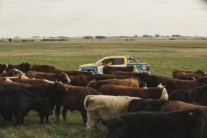 Rally da Pecuária 2018 chega ao Mato Grosso do Sul Rally da Pecuária 2018 chega ao Mato Grosso do Sul
