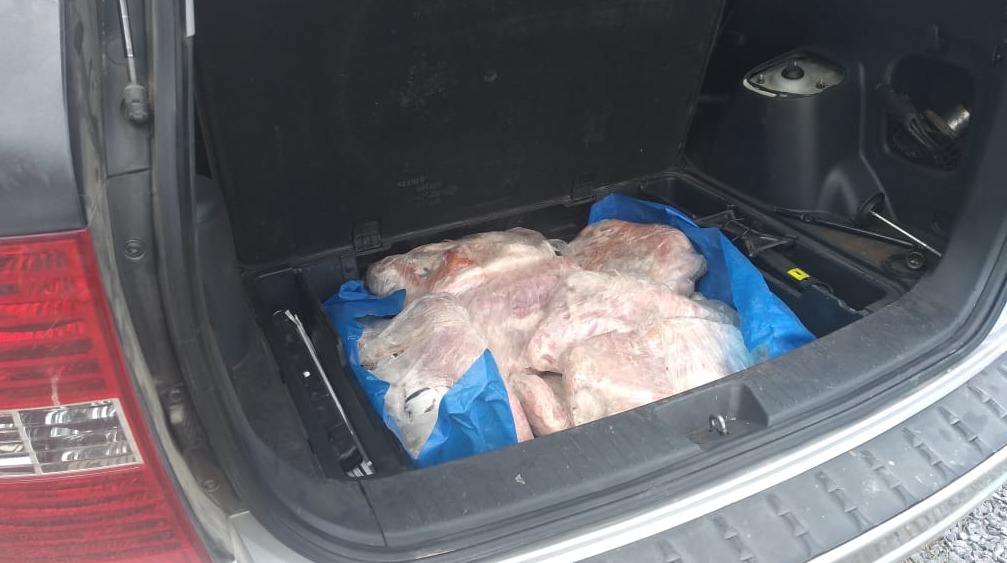 PMA e PRF apreendem 45 kg de filé de pescado ilegal com boliviano