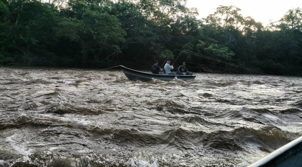 Foto:Divulgação/PMA