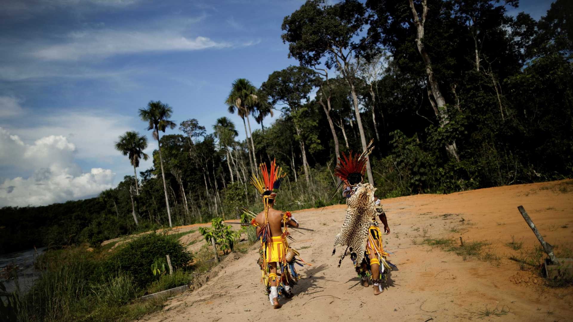 'Remédio do mato' alivia mais a dor de índios, diz pesquisa Reuters / Ueslei Marcelino