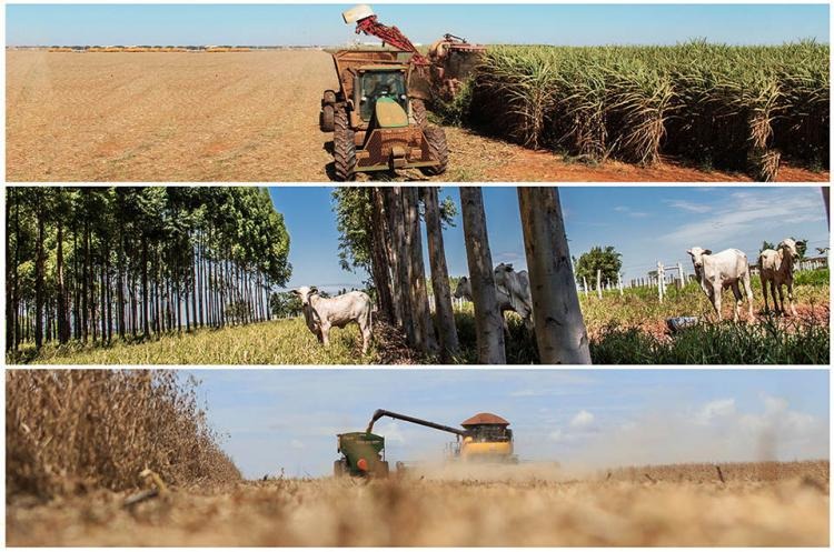 Sistema Famasul divulga relatório sobre o avanço da agropecuária em MS Divulgação