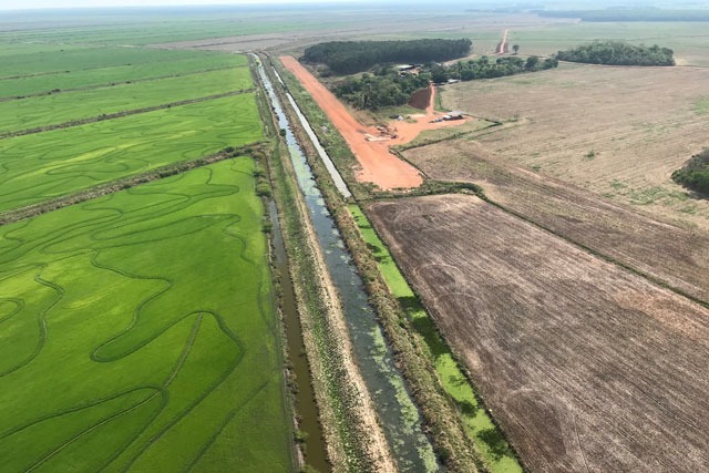Divulgação SOS Pantanal