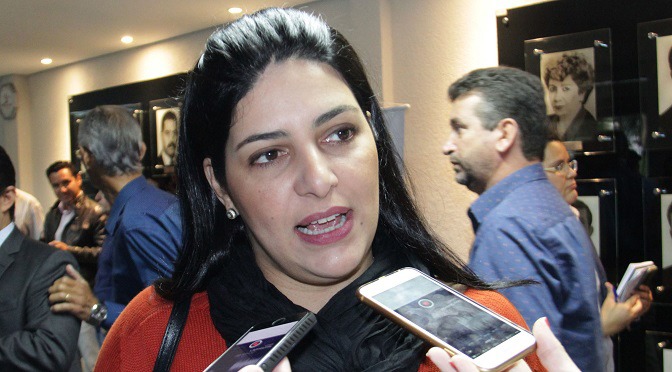 Proposta foi levada ao Conselho pela Subsecretaria de Políticas Públicas para Mulheres do Governo de Mato Grosso do Sul.