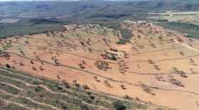 PMA encontrou irregularidades durante fiscalização na propriedade em Coxim, MS (Foto: Polícia Militar Ambiental/Divulgação)
