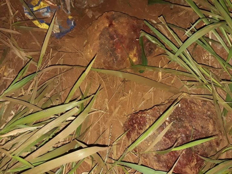 Travesti é encontrada morta com sinais de pedradas na cabeça e 20 facadas pelo corpo Duas pedras grandes com marcas de sangue estavam próximas ao corpo. Olimar Gamarra