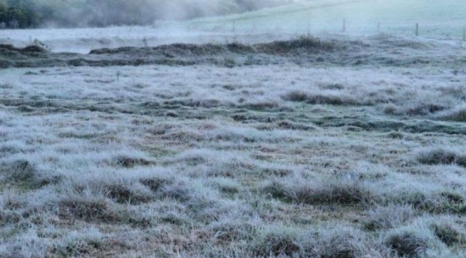 Massa de ar polar continua no MS e com possibilidade de geada nesta quinta-feira
