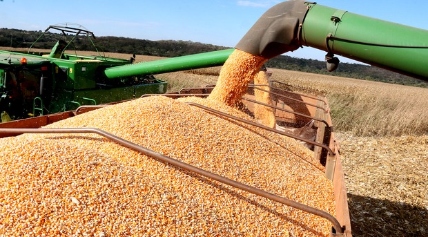 MS deve ter o 3º maior crescimento do país em 2020