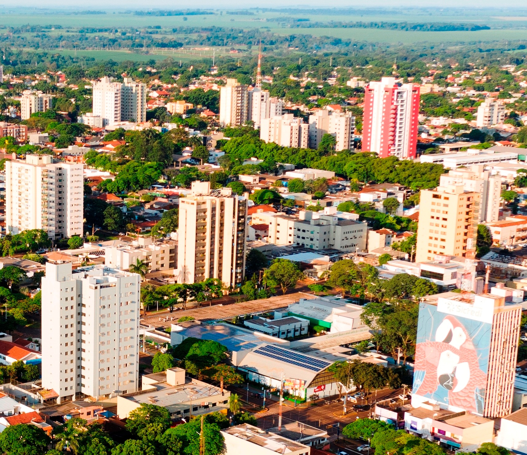 Foto – Marcos Pierry Dourados liderou com folga a geração de empregos com carteira assinada em 2019, segundo revela o Caged