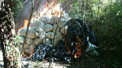As ações tiveram início em 26 de abril e foram encerradas ontem - Foto: Divulgação Senad