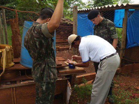 Apesar de Dourados entrar no parâmetro ‘satisfatório’ no índice de infestação os trabalhos continuam focados, priorizando locais onde há mais focos do mosquito (Foto/ Assecom)