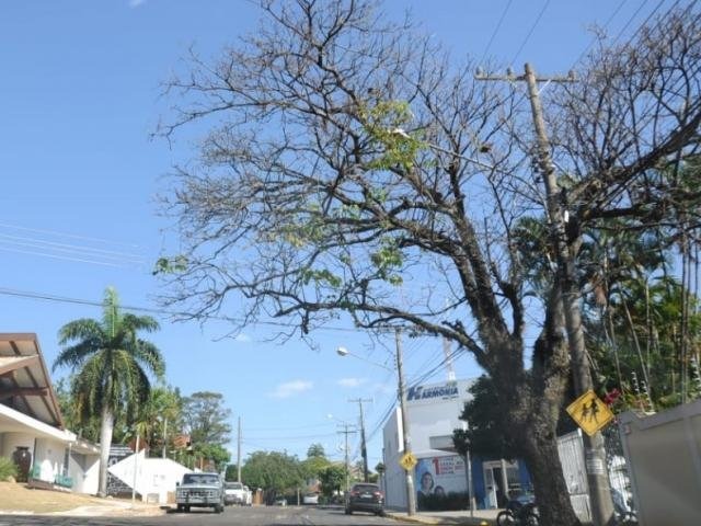 Por causa de veranico MS está há 33 dias sem chuva Por causa de veranico MS está há 33 dias sem chuva