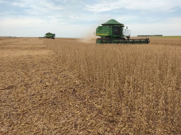 Colheita da soja já atinge 75% da área plantada em MS