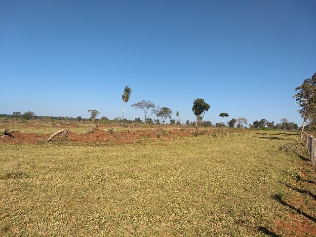 Pecuarista é autuado em R$ 9,8 mil por desmatamento ilegal PMA/divulgação