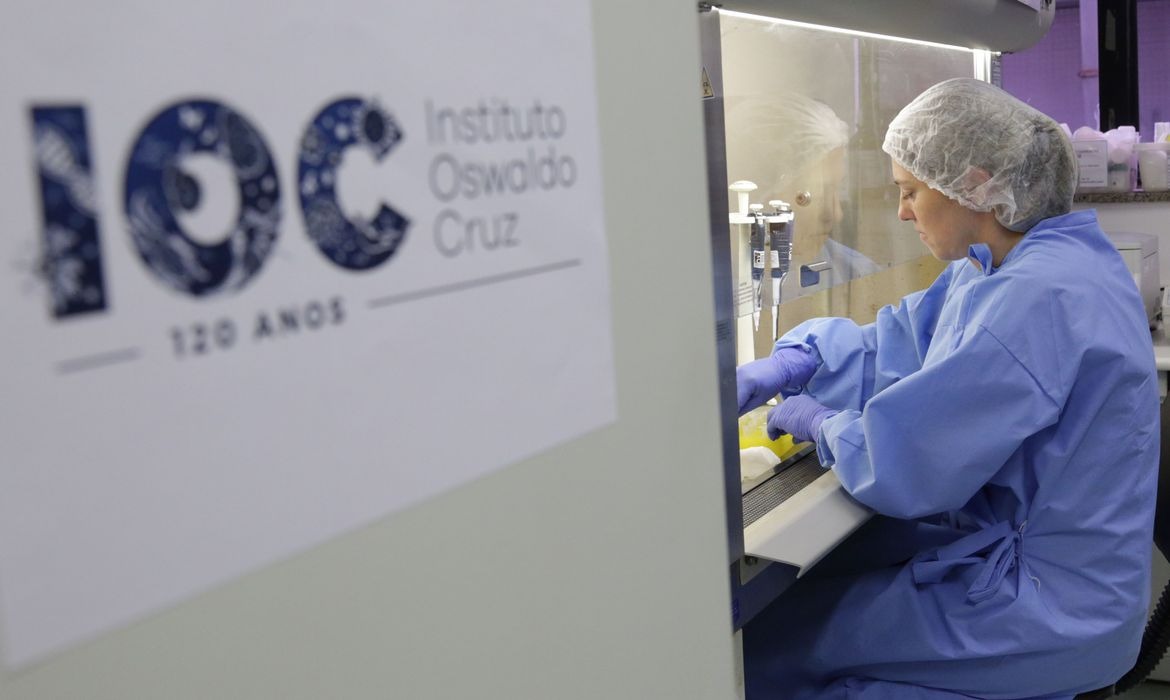  Divulgação/Josué Damacena (IOC/Fiocruz)
