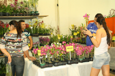 Exposição de Orquídeas tem mais de 80 expositores e mil plantas de colecionadores, exposição vai até às 17 horas de domingo Foto:Casimiro Silva
Exposição acontece até domingo