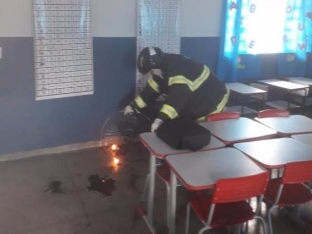 Divulgação - Corpo de Bombeiros