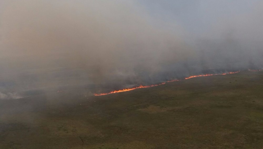 Incêndio em parque estadual já consumiu 5 mil hectares em 5 dias Incêndio começou na última quinta-feira (12) (Foto: Divulgação/PRF)