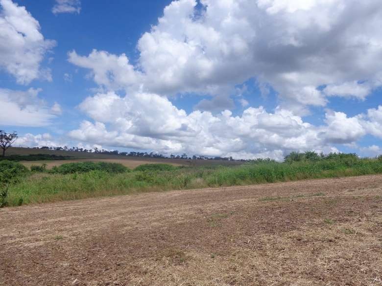 PMA de Dourados autua pecuarista em R$ 57 mil por desmatamento PMA de Dourados autua pecuarista em R$ 57 mil por desmatamento