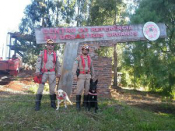 Cães do Corpo de Bombeiros de MS recebem certificação internacional de resgate Cães do Corpo de Bombeiros de MS recebem certificação internacional de resgate