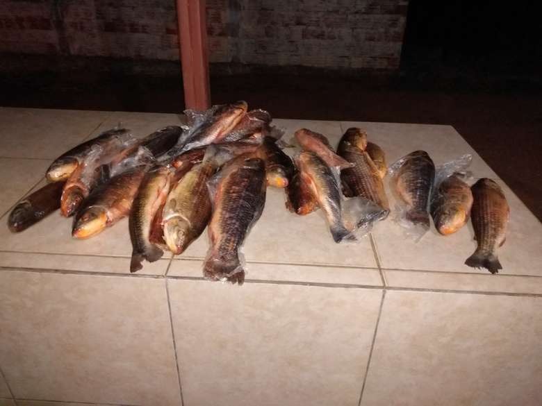 Paulista é autuado em R$ 1 mil por pesca predatória no Rio Miranda Divulgação Pma