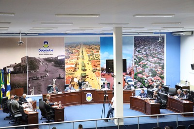 Vereadores aprovaram projeto de lei e veto (Foto: Eder Gonçalves)