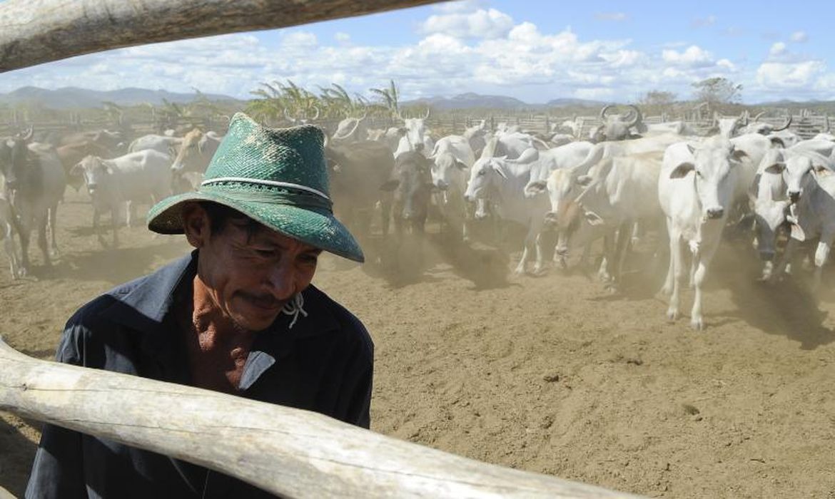 Plataforma ajuda a aumentar arrecadação do Imposto Territorial Rural EBC