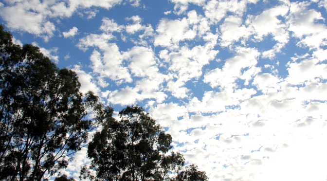 Quinta-feira de Santo Antonio será de céu claro e calor em MS Quinta-feira de Santo Antonio será de céu claro e calor em MS