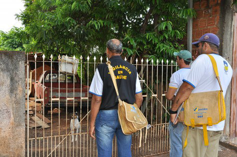 Apesar da redução de notificações de casos suspeitos de dengue, a Prefeitura mantém foco nos mutirões e vistoria nos imóveis (Foto:DIvulgação)