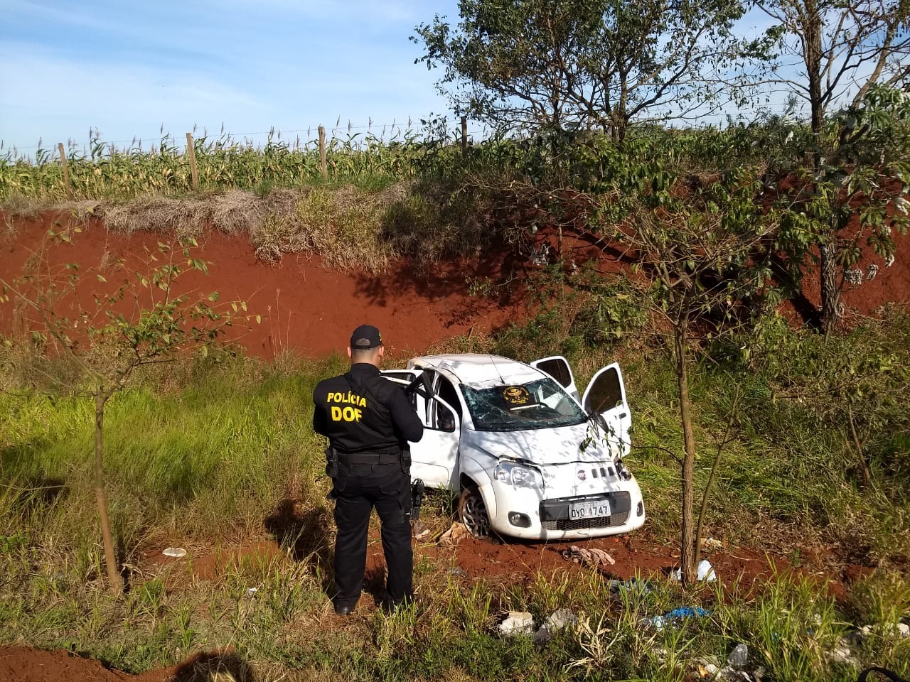 Divulgação