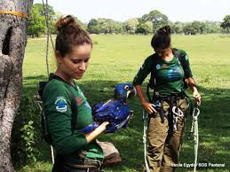 Projeto Arara Azul concorre ao Prêmio Nacional da Biodiversidade
