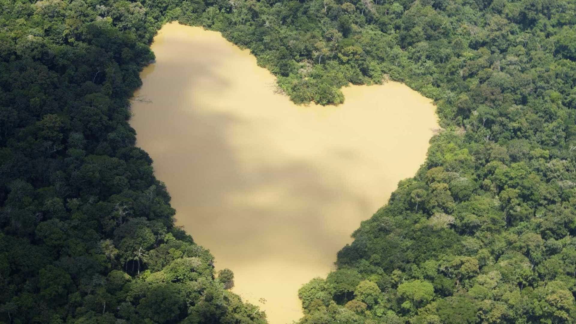 Governo Temer anuncia redução de 16% no desmatamento da Amazônia Reuters / STRINGER Brazil