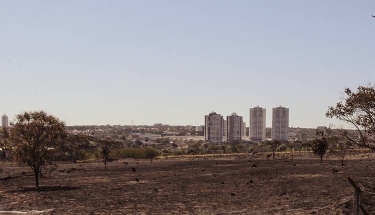 Durante mês de julho não choveu em 53 cidades de MS (Henrique Kawaminami)