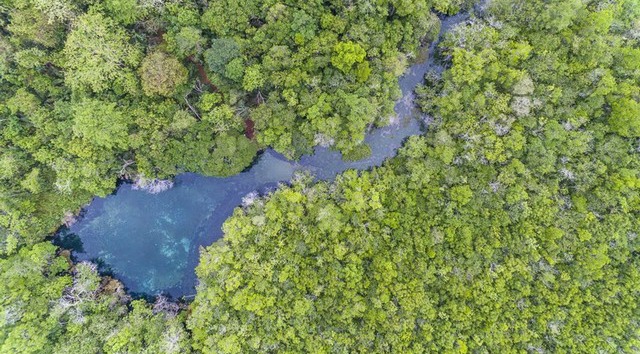Em vigor decreto que regulamenta pagamento por ações que recuperem e conservem o meio ambiente Marcos Amend
