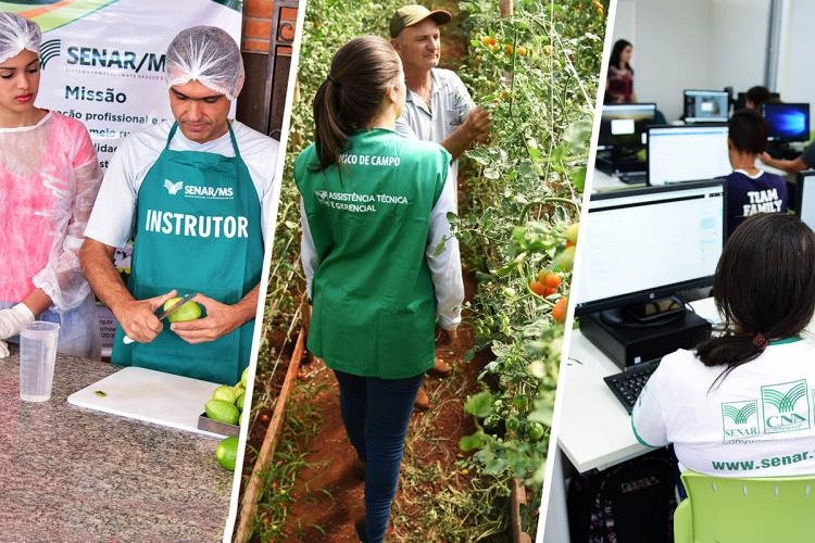 Em cinco anos, Senar/MS levou atendimento a mais de 1,1 milhão de pessoas do meio rural Divulgação