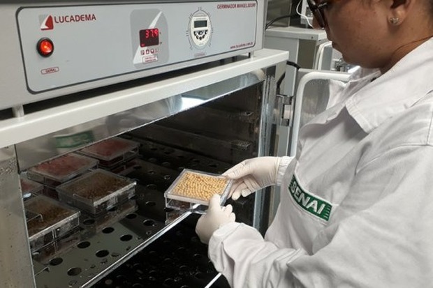 Ministério credencia laboratório de análise de sementes do Instituto Senai de Tecnologia em Alimentos e Bebidas Ministério credencia laboratório de análise de sementes do Instituto Senai de Tecnologia em Alimentos e Bebidas