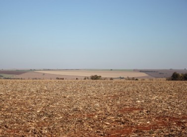 Produtores já comercializaram 27,3% da próxima safra de soja Produtores já comercializaram 27,3% da próxima safra de soja