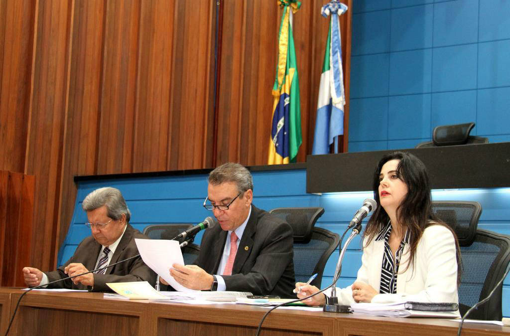 Comissão irá encaminhar o relatório final para as autoridades competentes (Foto:Wagner Guimaraes)