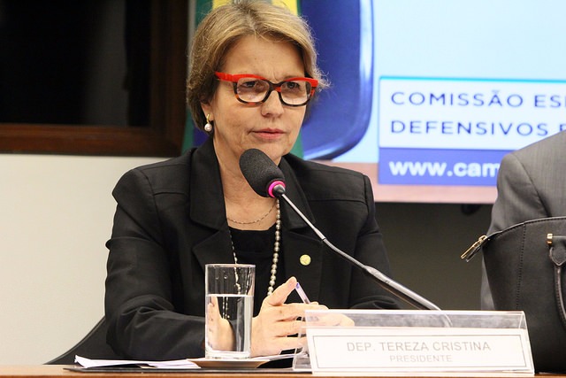 Deputada de MS deixa a liderança do PSB na Câmara - Crédito: Sérgio Francês/PSB
