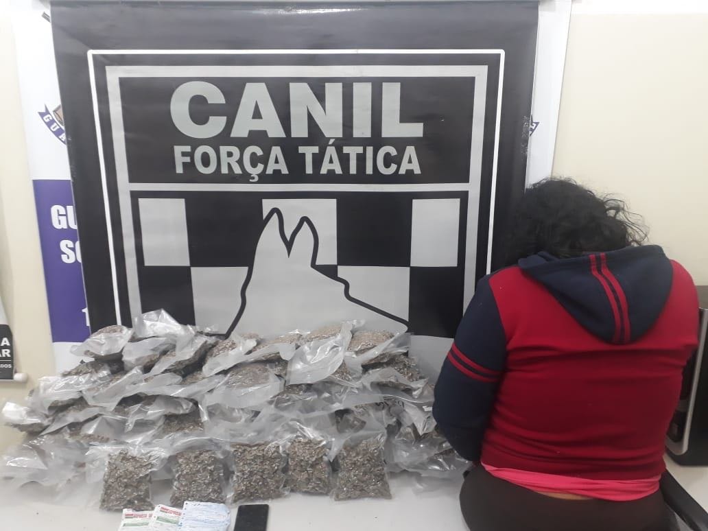 Canil do BPM prende 3 pessoas por tráfico de drogas na rodoviária (Divulgação 3ºBPM)