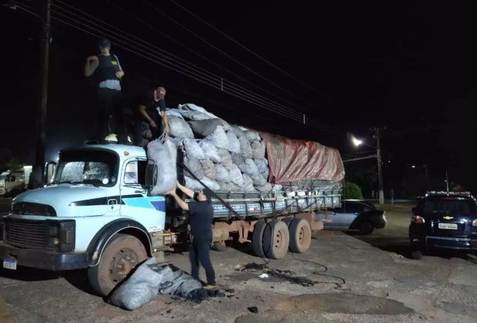 Polícia Civil apreende 5 toneladas de maconha escondia em carga de carvão Polícia Civil apreende 5 toneladas de maconha escondia em carga de carvão
