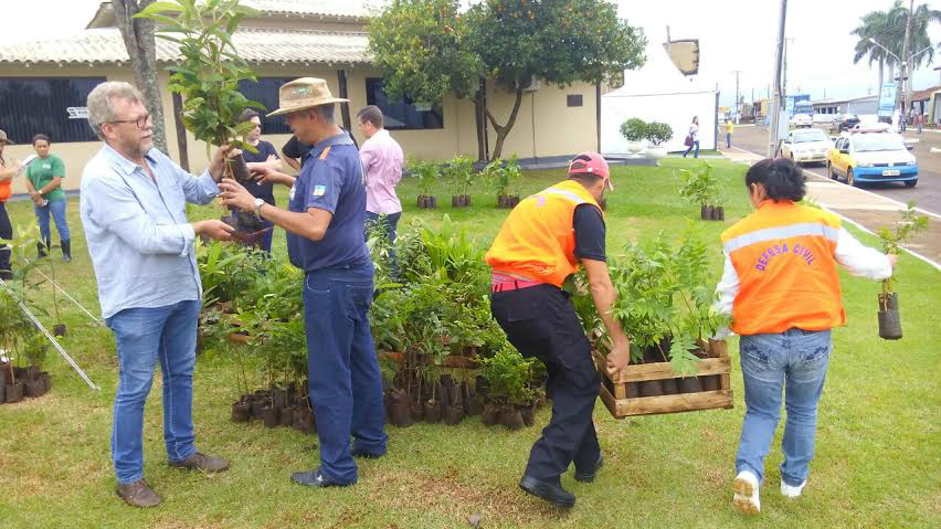 Mudas de árvores estão sendo doadas pela 
Defesa Civil de Dourados ( Foto:Eliel Oliveira)