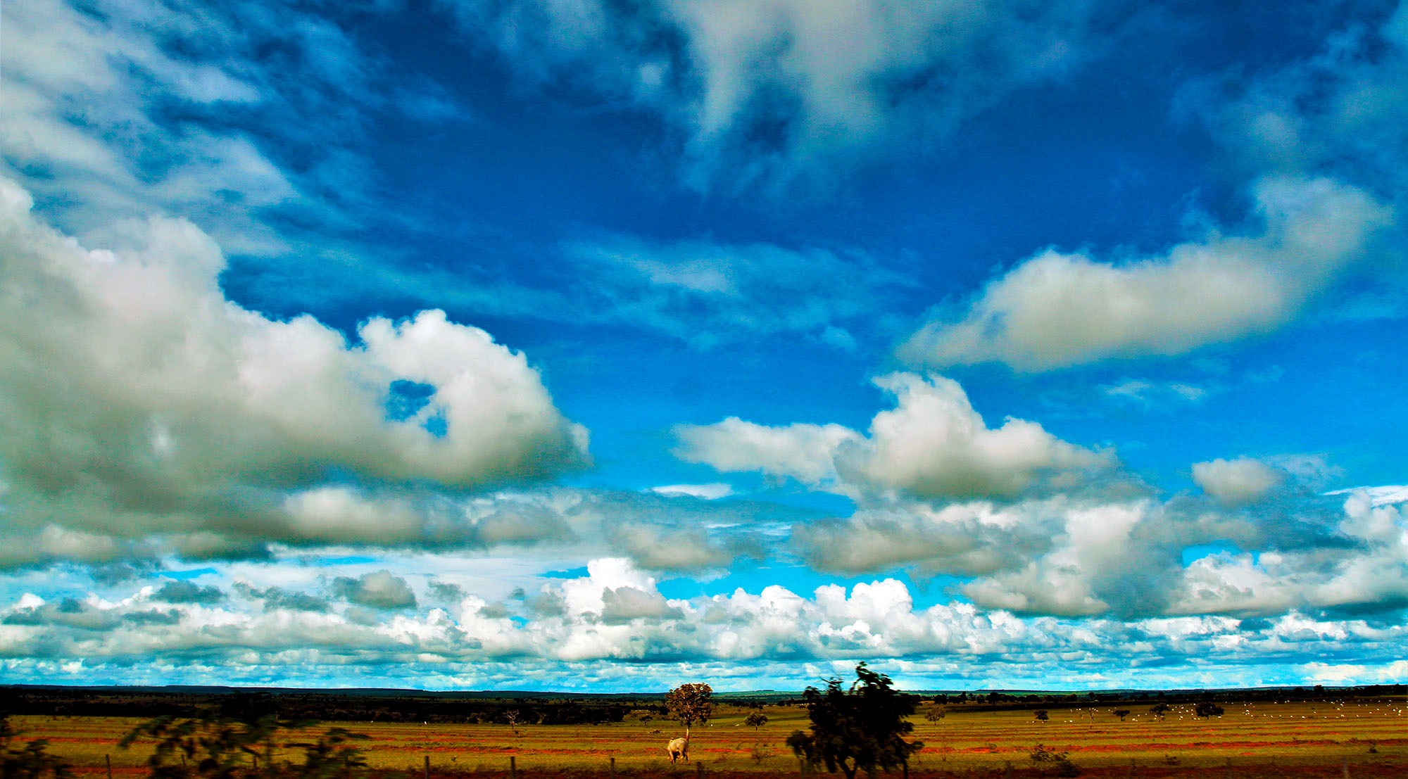 Sexta nublada com chuvas isoladas em Mato Grosso do Sul Saul Schramm