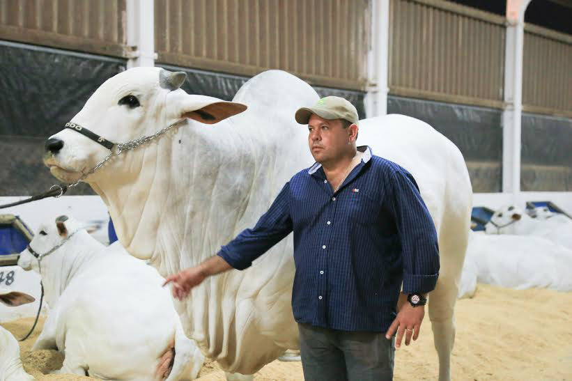 Ramão pedroso, ao lado de Objuan, avaliado em R$ 2,5 milhões e com inúmeros títulos nacional (Foto: Eder Gonçalves)