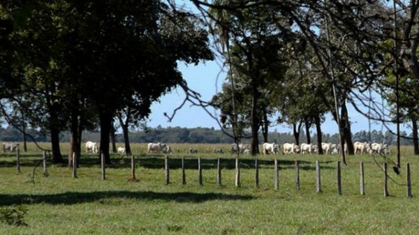 A Receita Federal do Brasil definiu as novas normas relativas ao ITR (Imposto Territorial Rural) (Foto:Divulgação)