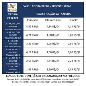 Mudanças no programa Precoce MS são significativas, aponta empresa especializada Sílvio Andrade
Subsecom