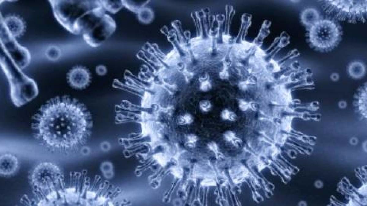 Nanopartículas: Um milagre sem agulhas Foto Ilustrativa