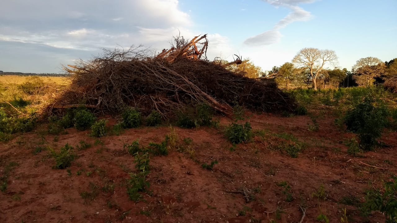 Proprietário rural é autuado por desmatamento ilegal de vegetação do bioma Mata Atlântica O dono da fazendo foi multado em R$ 40 mil. PMA/Divulgação